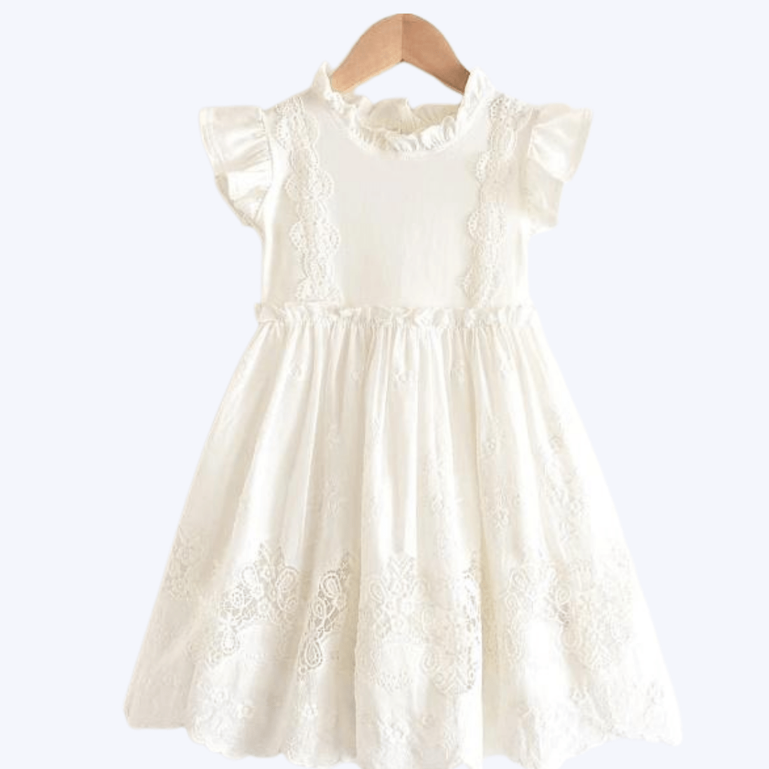 Lace Embroidery Dress