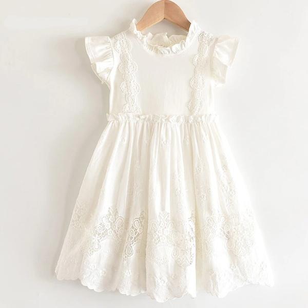 Lace Embroidery Dress