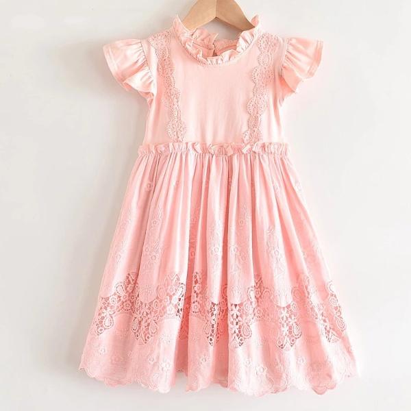 Lace Embroidery Dress