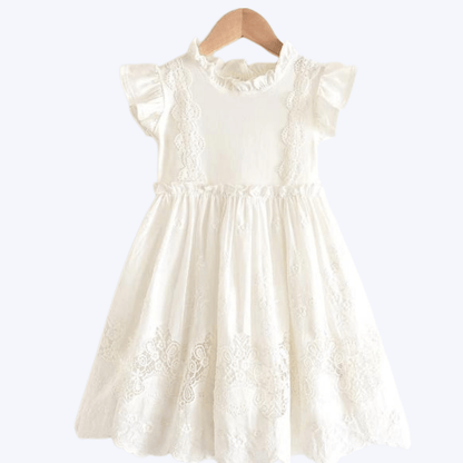 Lace Embroidery Dress