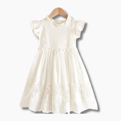Lace Embroidery Dress